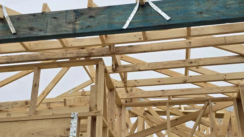 LVL Formwork Timber: How It Enhances Structural Integrity in Modern Construction